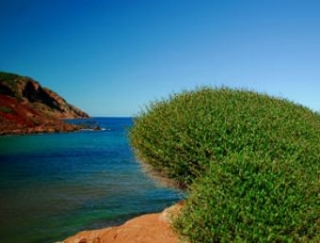 Haz fotografía en Menorca